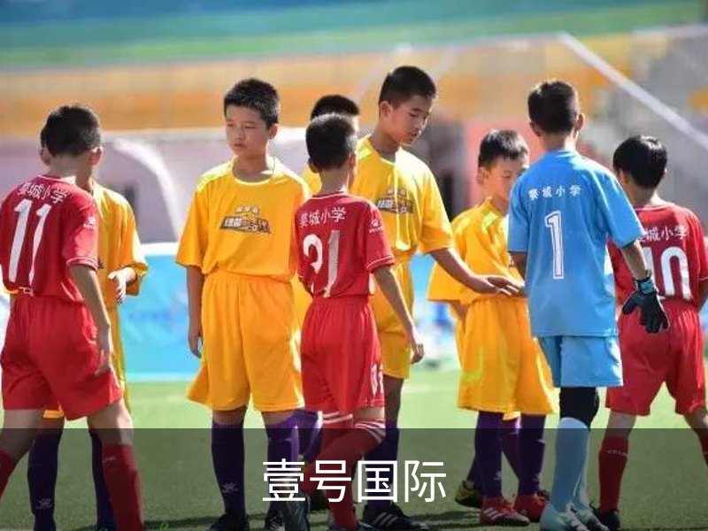 壹号国际简介